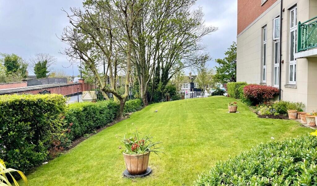 10003_ETL250015_IMG_09_0000