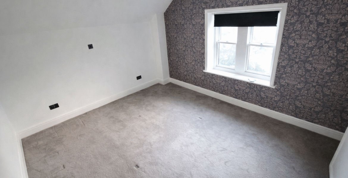 ChatGPT Image Dec 19, 2025, 11_24_19 AM