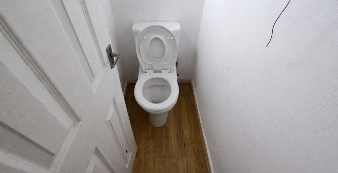 ChatGPT Image Feb 11, 2026, 12_33_22 PM