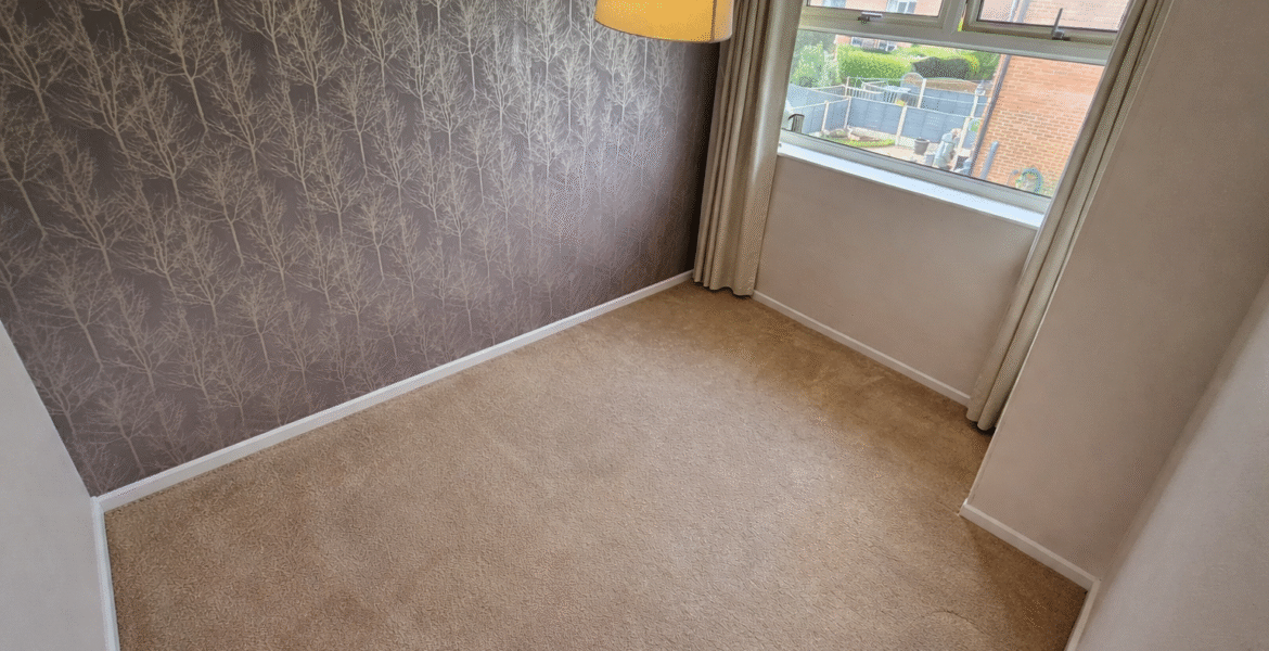 ChatGPT Image Mar 4, 2026, 04_13_11 PM