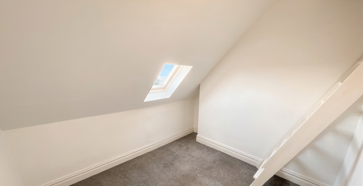 Gemini_Generated_Image_lsy5z2lsy5z2lsy5