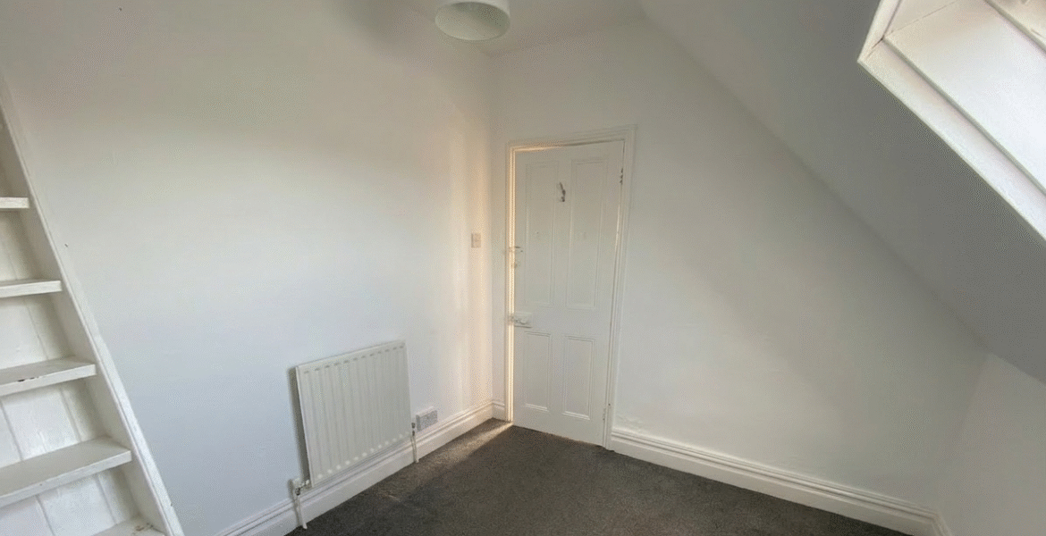 Gemini_Generated_Image_patpmmpatpmmpatp