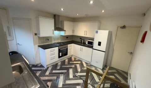 Chestnut Avenue, Hyde Park, Leeds, LS6 1BA