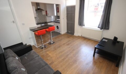 Thornville Terrace, Hyde Park, Leeds, LS6 1JT