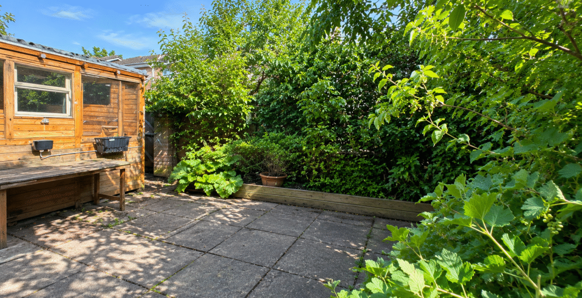 Sunlit Overgrown Garden Patio