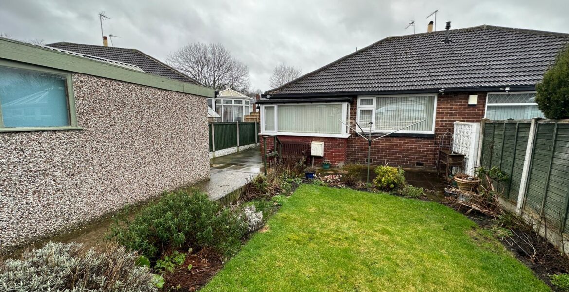 WhatsApp Image 2024-02-06 at 10.49.09