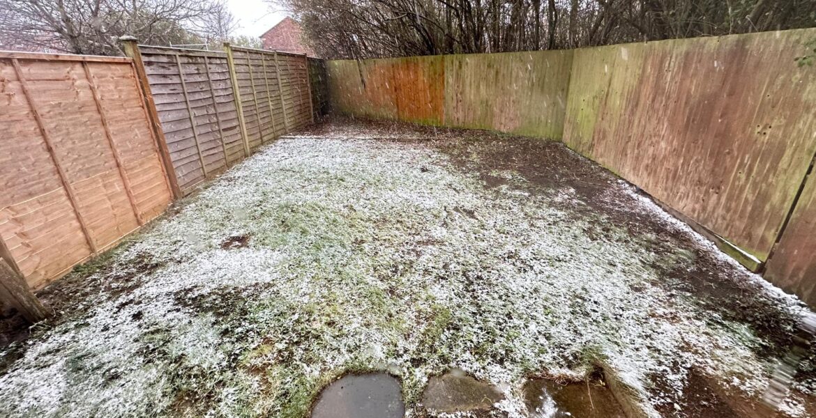 WhatsApp Image 2024-02-08 at 10.39.19