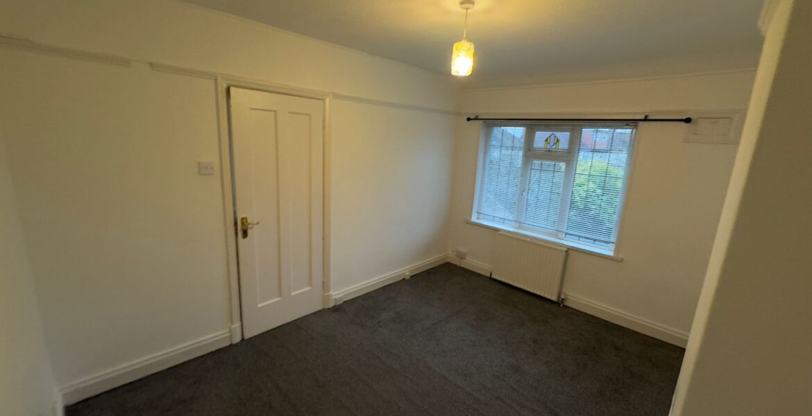 WhatsApp Image 2025-01-02 at 22.33.32