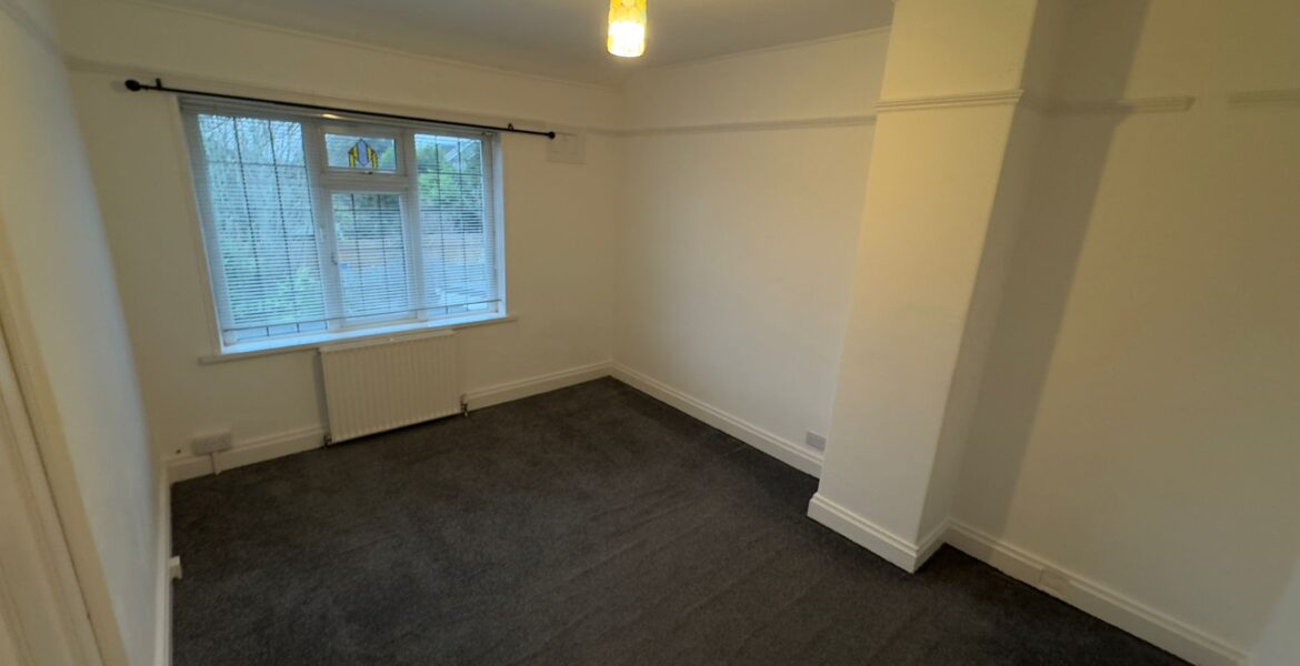 WhatsApp Image 2025-01-02 at 22.33.50