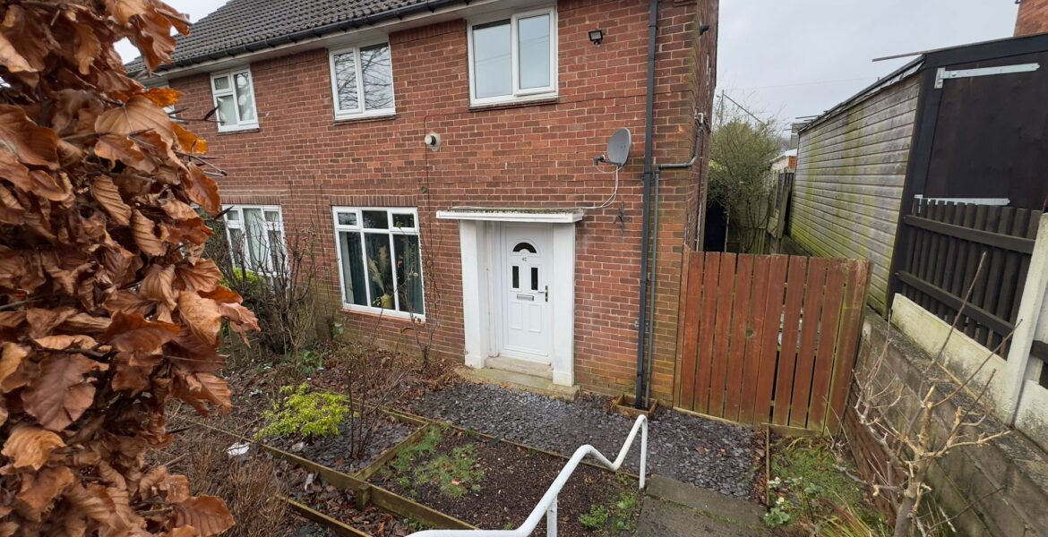 WhatsApp Image 2025-01-27 at 11.57.54