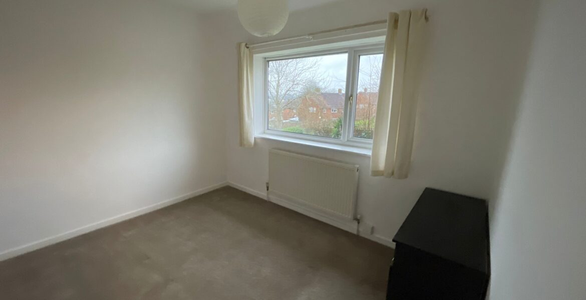 WhatsApp Image 2025-01-27 at 17.30.44 (1)