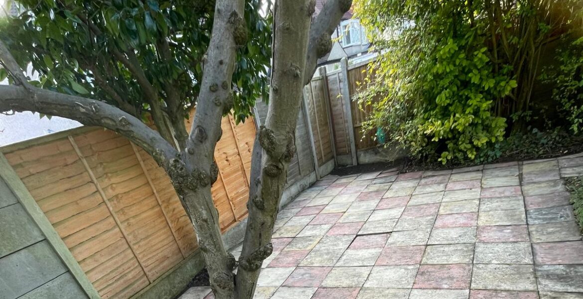 WhatsApp Image 2025-01-30 at 10.10.54 (1)