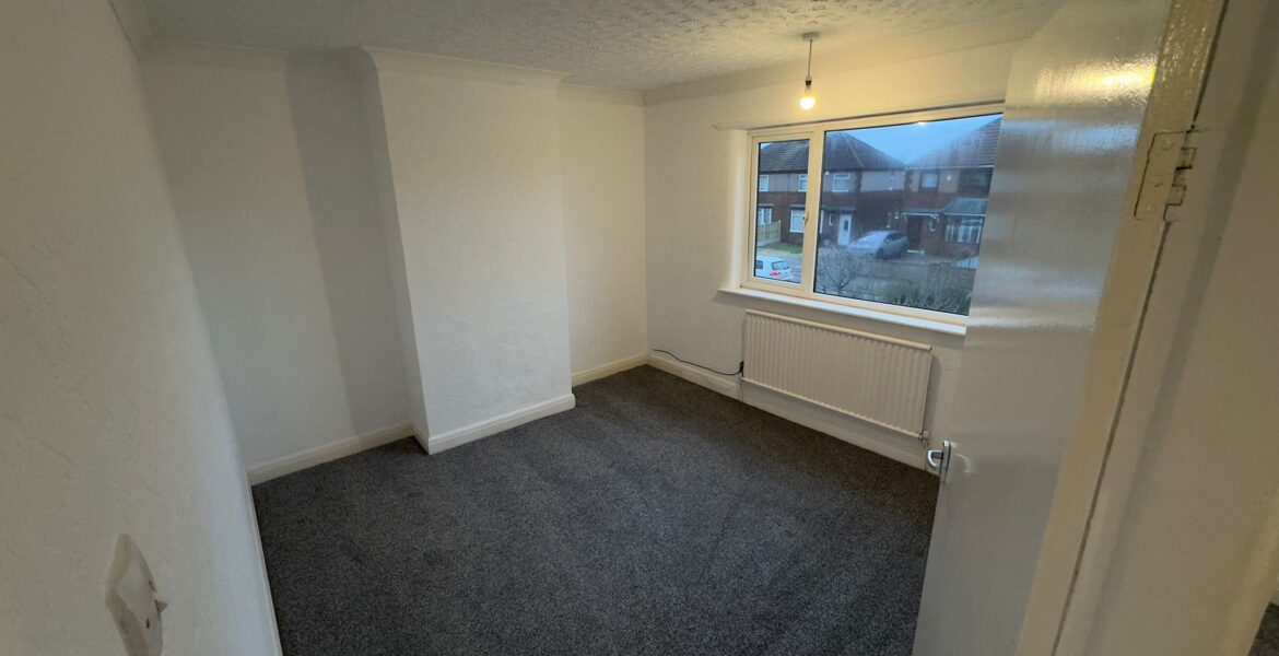 WhatsApp Image 2025-02-04 at 23.37.11 (1)