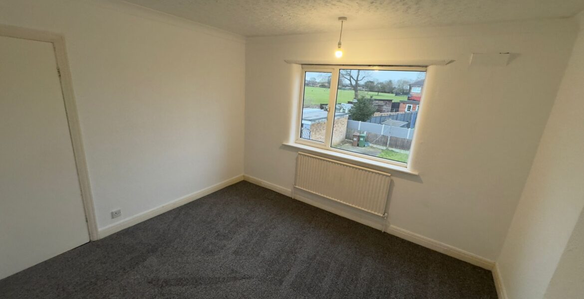 WhatsApp Image 2025-02-04 at 23.37.12 (2)