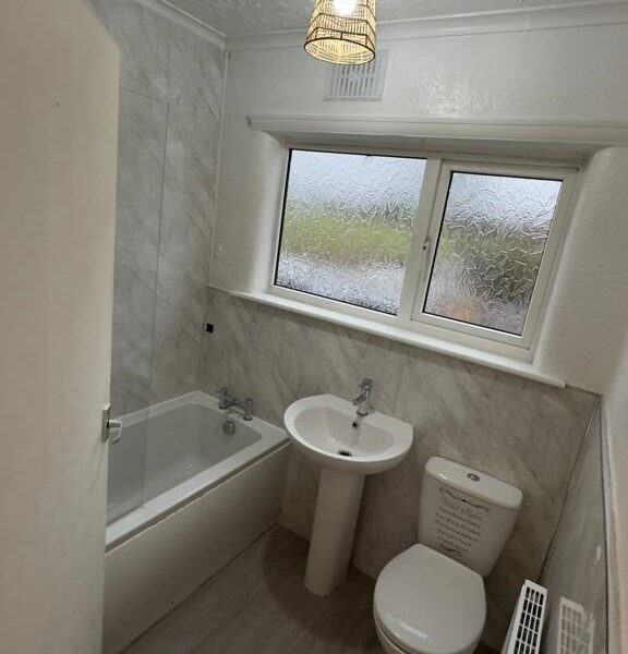 WhatsApp Image 2025-02-04 at 23.37.28