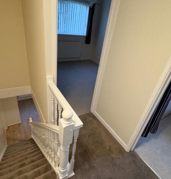 WhatsApp Image 2025-04-07 at 11.01.06 (1)