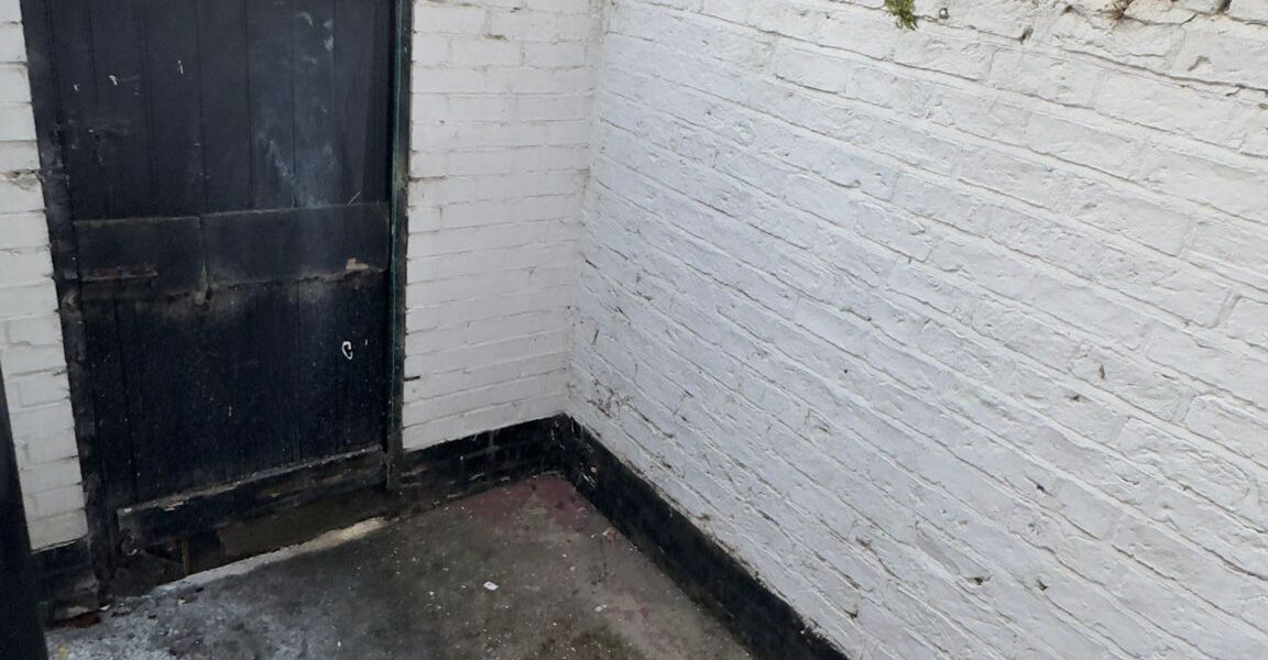 WhatsApp Image 2025-06-23 at 08.32.28