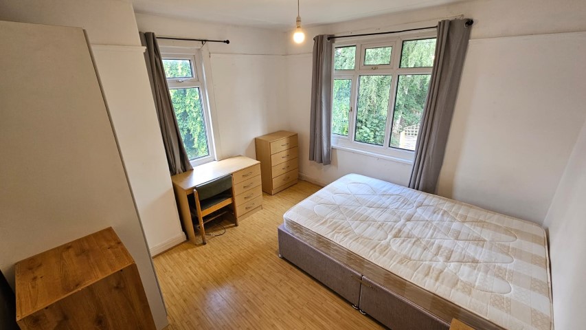 WhatsApp Image 2025-06-30 at 11.50.34 (1)