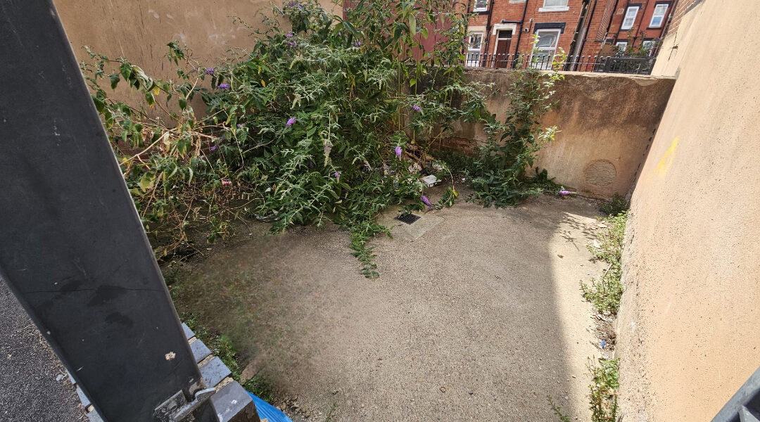 WhatsApp Image 2025-07-01 at 13.11.59 (2)