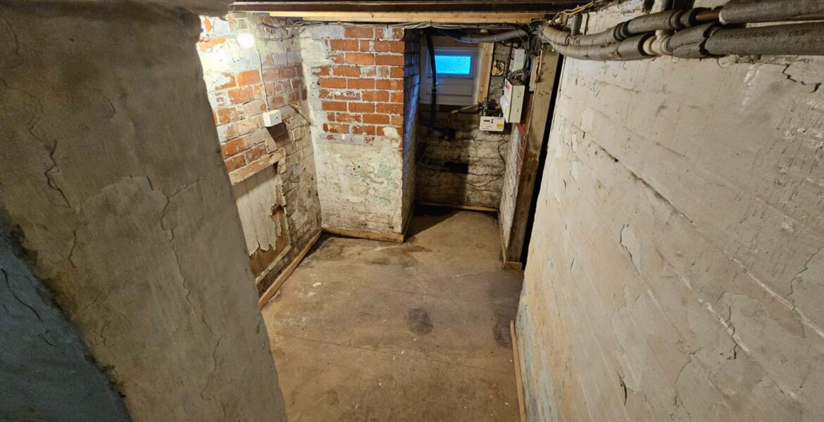 WhatsApp Image 2026-02-19 at 10.34.22 AM