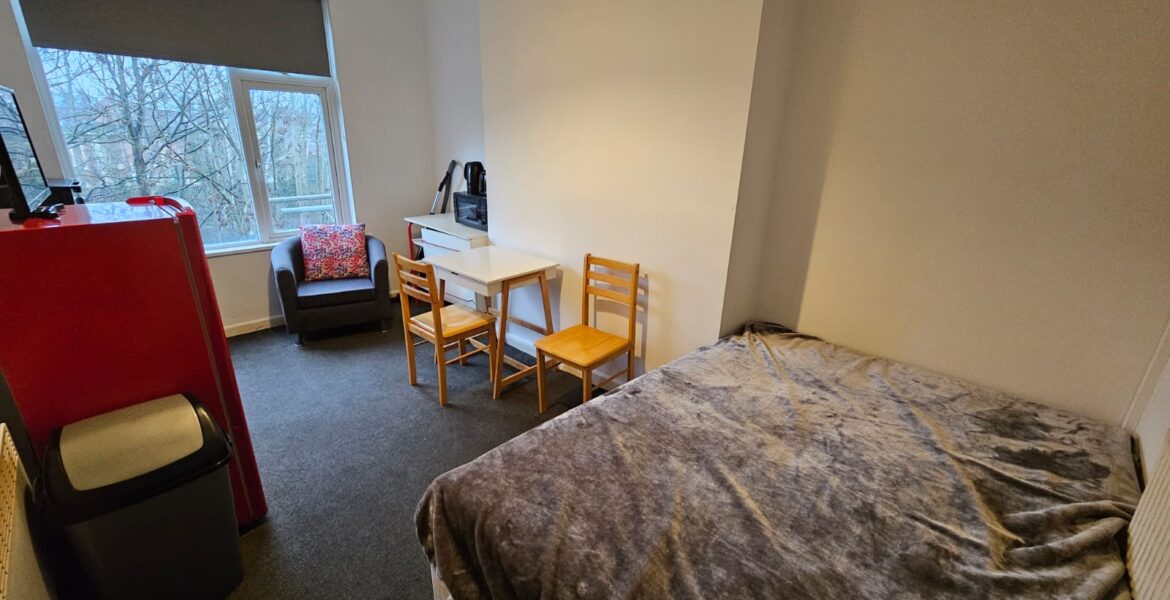 WhatsApp Image 2026-02-19 at 3.59.00 PM