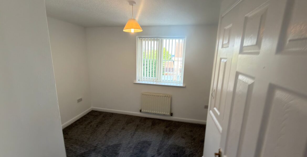 WhatsApp Image 2026-03-12 at 10.39.41