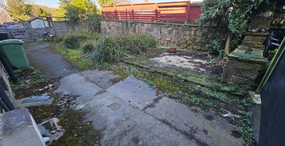 WhatsApp Image 2026-03-17 at 2.43.15 PM (2)