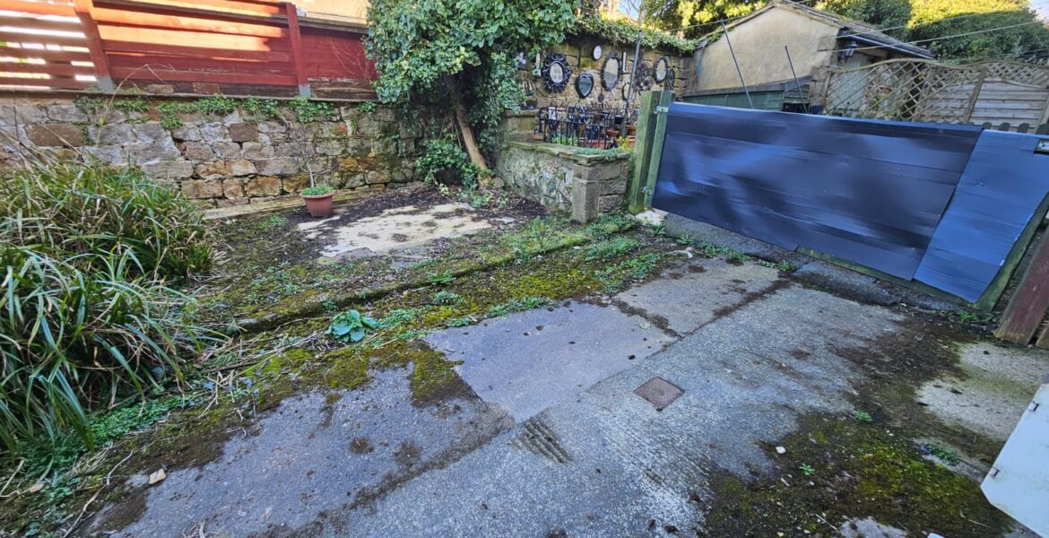 WhatsApp Image 2026-03-17 at 2.43.16 PM