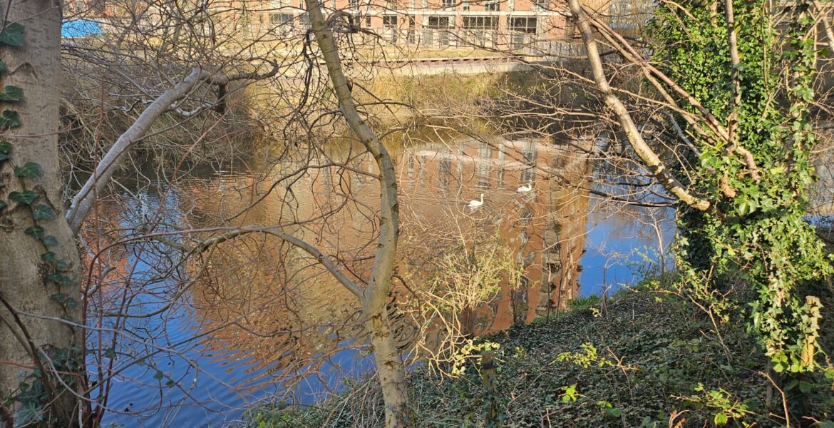 WhatsApp Image 2026-03-18 at 4.12.08 PM (2)