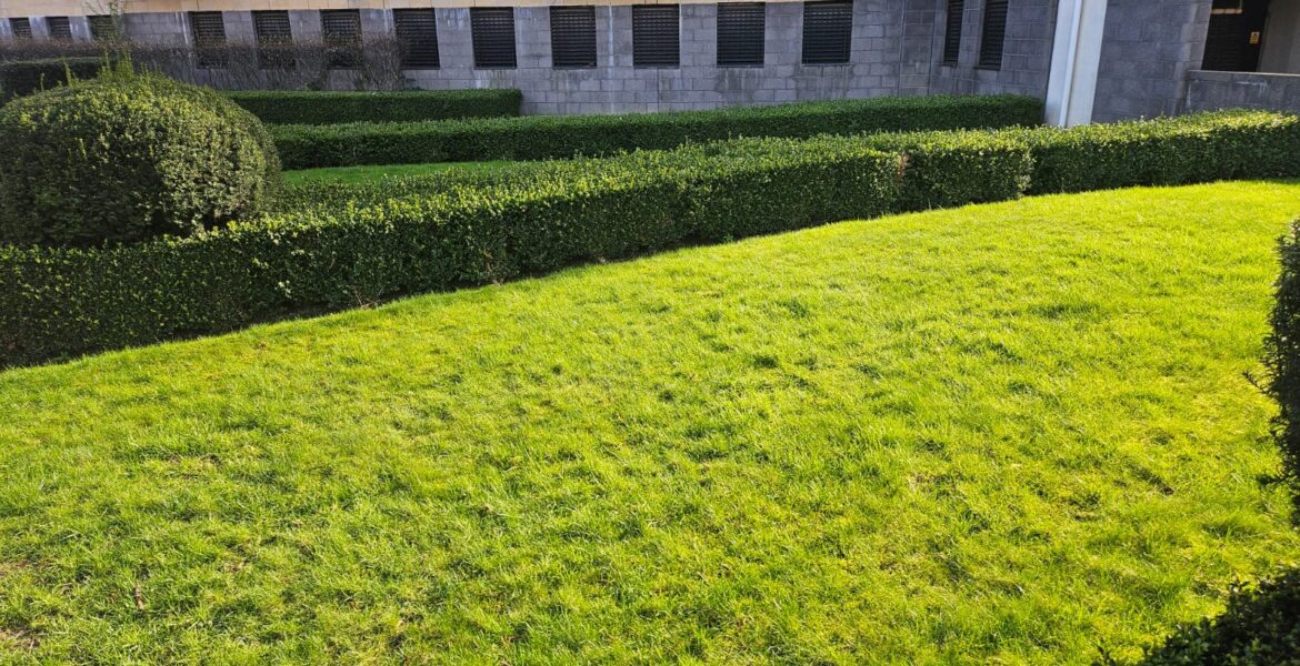 WhatsApp Image 2026-03-18 at 4.13.56 PM