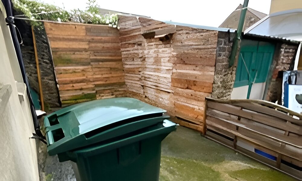 image-051-Picsart-AiImageEnhancer (1)-Picsart-AiImageEnhancer